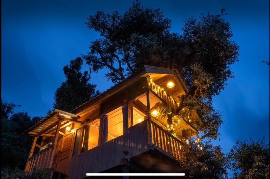 Himalayan Tree House, A Hidden Place In Jibhi 15 Minutes Walking Distance From Road Hotel Exterior photo